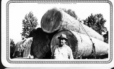 001 Paul Durham Sr With Logs