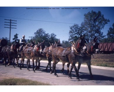 005 1955 Diboll Day Parade