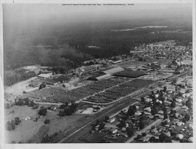 03_Aerial Photo Pineland Plant 1956