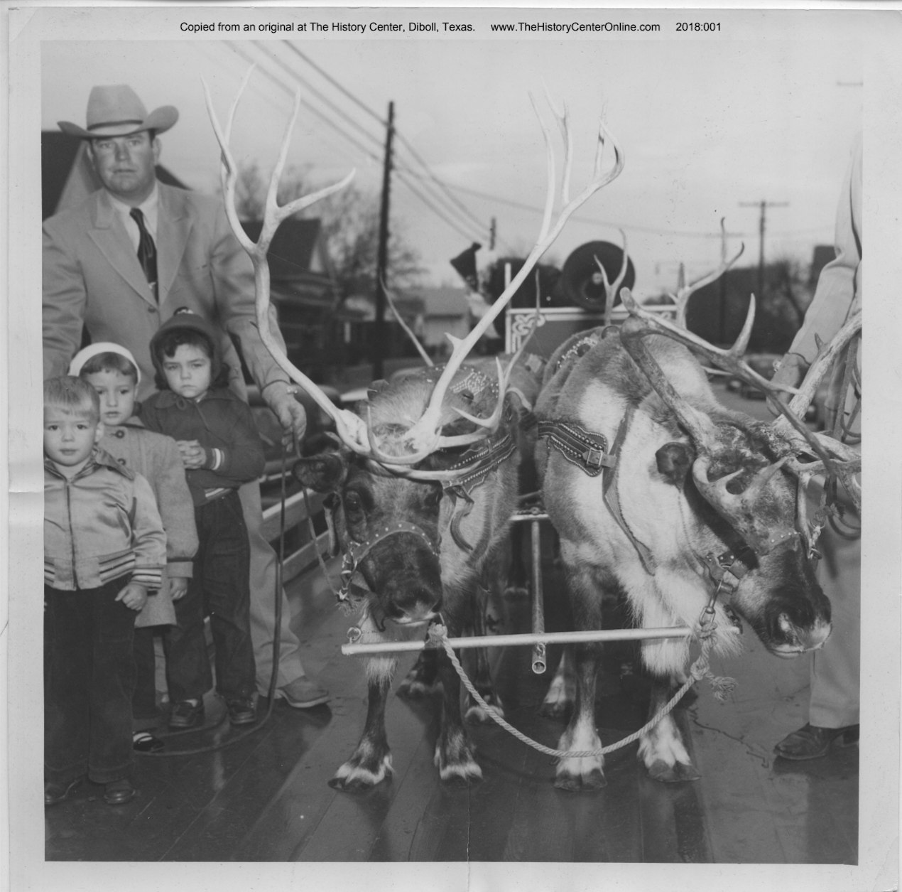 Live Reindeer in Lufkin Christmas Parade, Undated The History Center